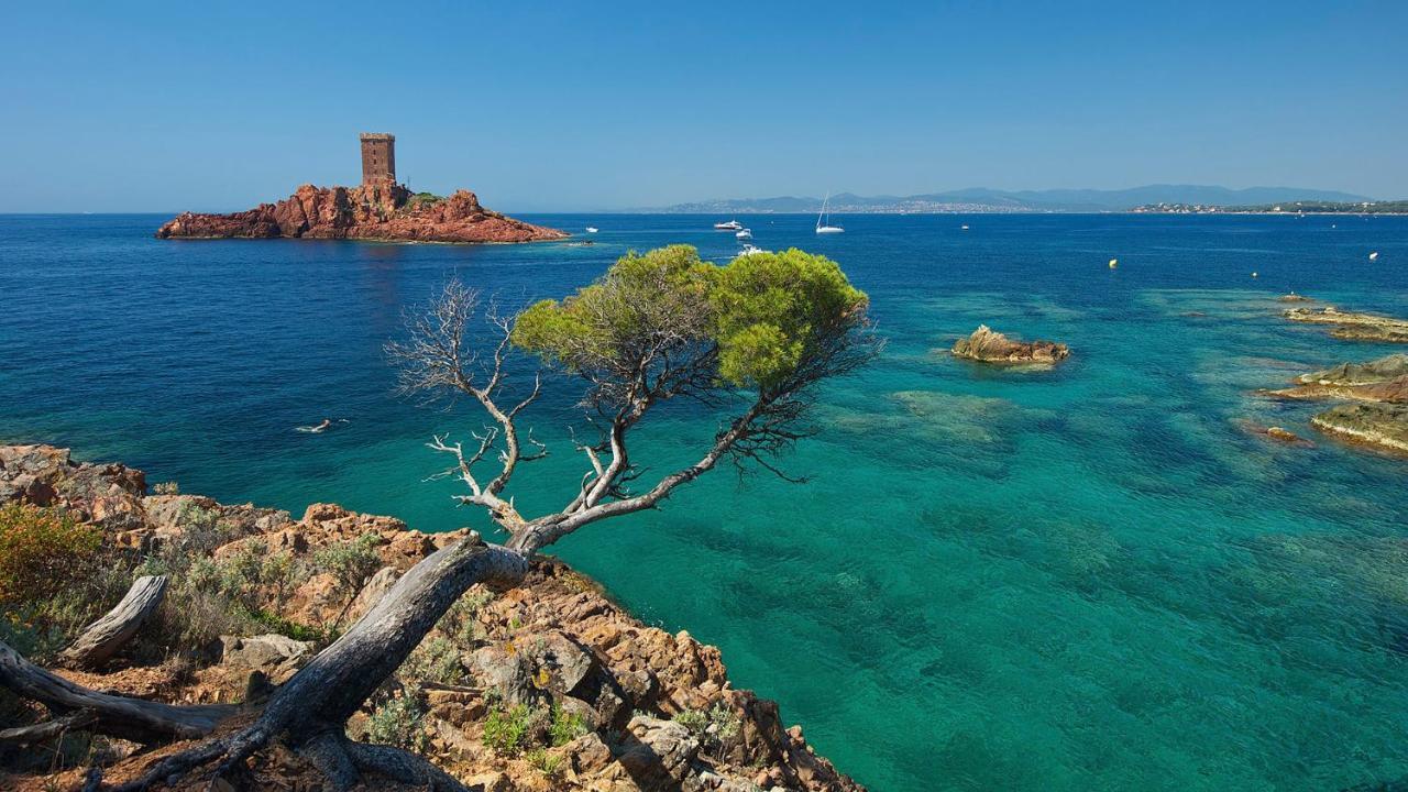 Chez Julie Διαμέρισμα Saint-Raphaël Εξωτερικό φωτογραφία